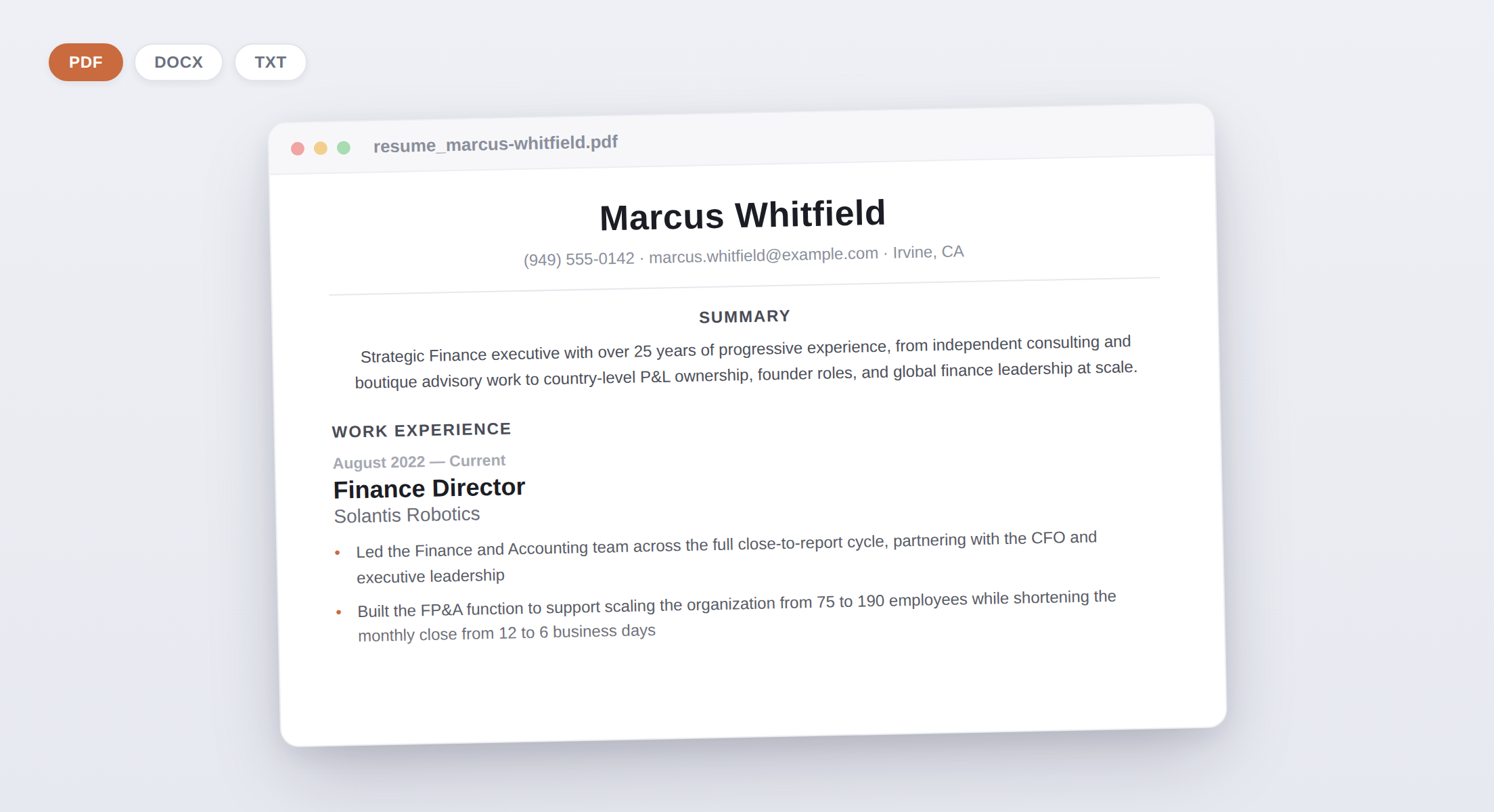 A resume PDF open in a document window, with PDF, DOCX, and TXT offered as input formats