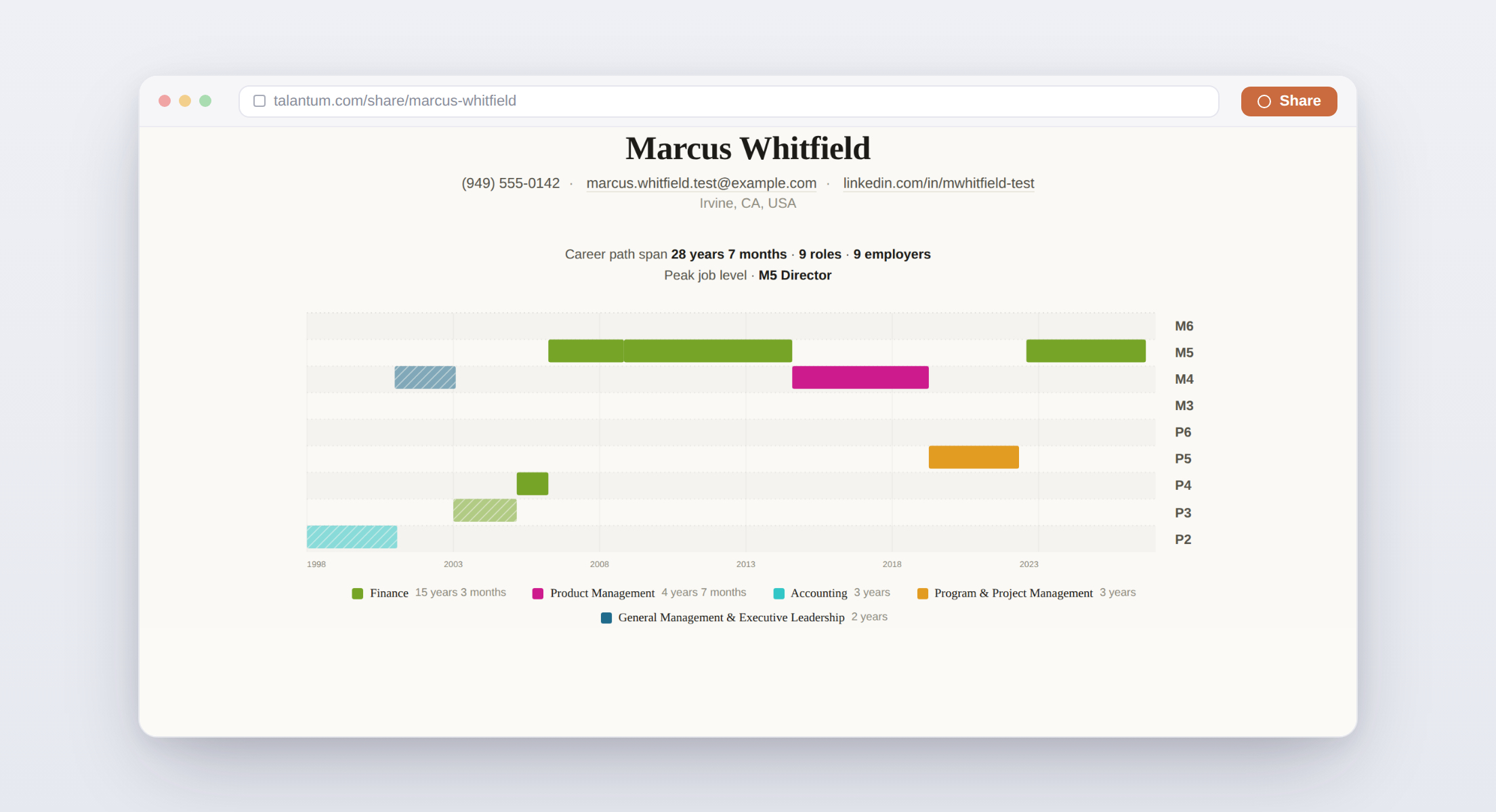 The finished visual resume: a career ladder chart plotting each role by level and professional sphere